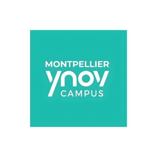 Ynov montpellier