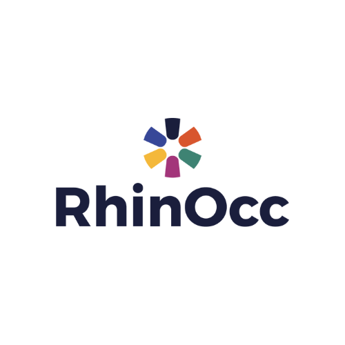 Réseau et Hub pour l'Inclusion Numérique en Occitanie